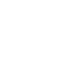 DBLP
